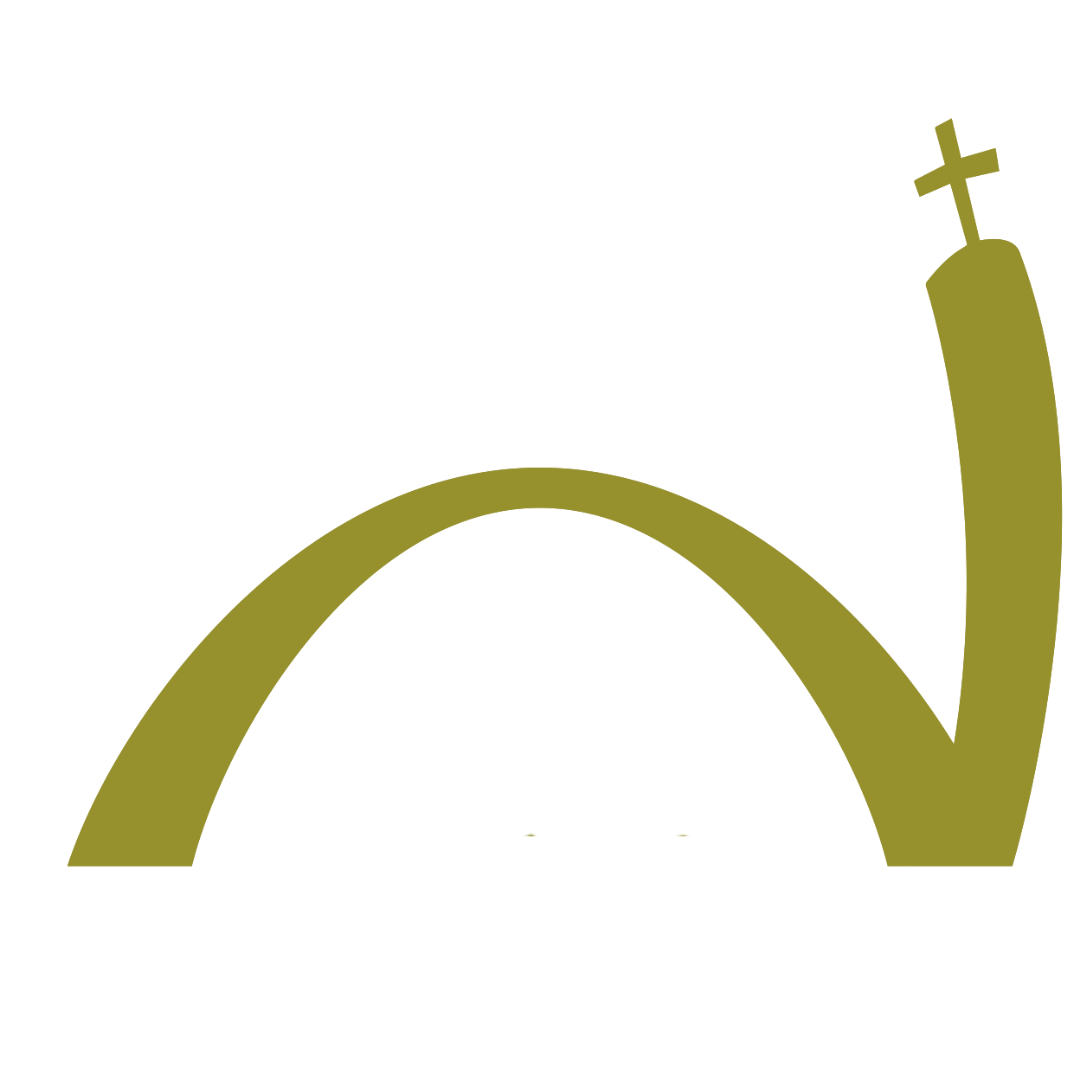 Logo Icon